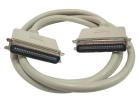 CAB 364 MO SCSI I-KABEL 2xCENTR50M,2m DATATR.:1,5-5Mbit/s